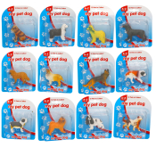 Dogs (12 asstd)