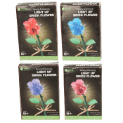 Make Your Own Light Up Brick Flower (4 asstd)