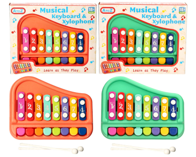 Musical Keyboard & Xylophone