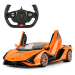 Radio Control 1:14 Lamborghini Sian (2 asstd)